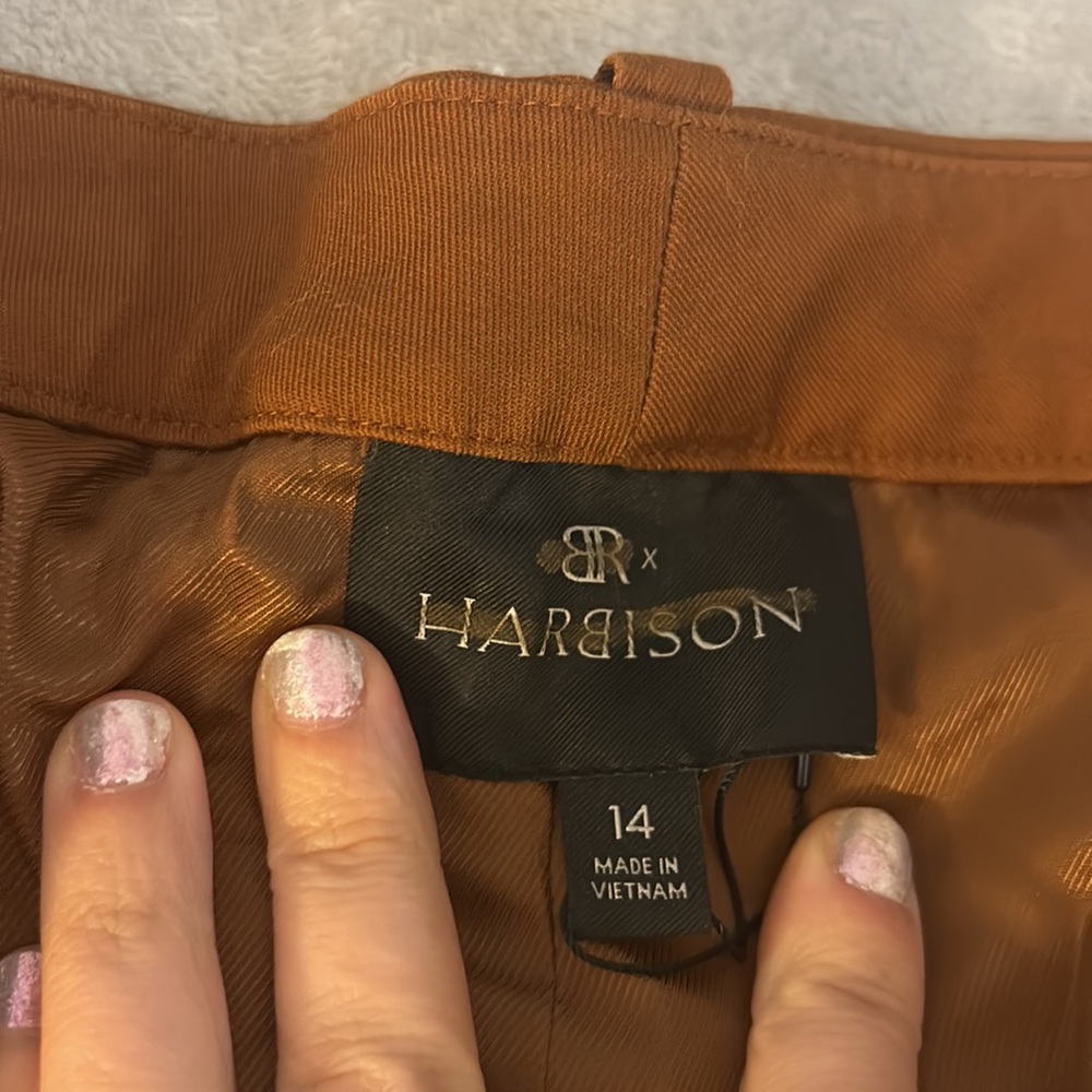 Banana Republic X Harbison Safar Suit Pant In The Right Spice View 4
